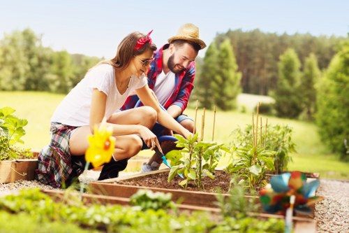 Professional garden clearance in Pimlico