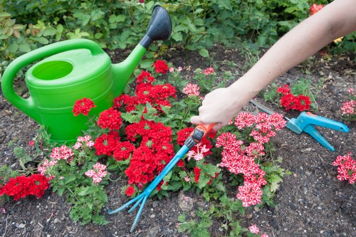 Sustainable gardening practices in a Pimlico garden setting