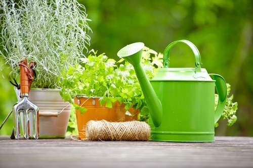A close-up view of a gardening workspace set on a wooden outdoor surface, featuring a collection of gardening tools and plant containers. From left to right, there is a small garden fork with a wooden handle, a white pot containing a tall, silvery-green herb, and a terracotta pot with lush, bright green leafy plants. Next, a coiled natural jute twine lies beside a vibrant green plastic watering can with a long spout and a handle on top. The background displays a blurred, lush green garden environment, indicating a well-maintained outdoor space typical of a residential garden in Pimlico. This scene showcases essential gardening supplies used in gardening, lawn care, and outdoor maintenance services provided by Lawn Mowing Pimlico, emphasizing a neat, organized, and vibrant garden setting with thriving plants and practical gardening equipment under natural daylight.
