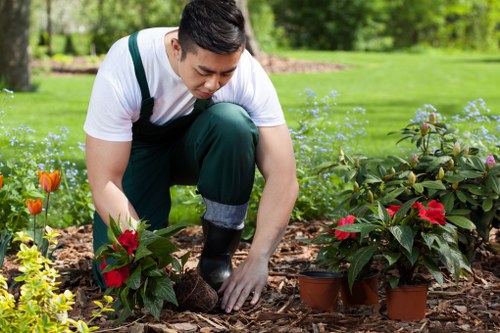 Eco-friendly lawn care equipment used by our team