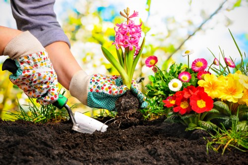 Gardener performing maintenance on a communal garden bed