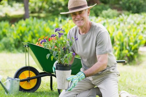 Seasonal lawn care services in Pimlico
