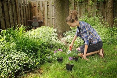 Beautifully maintained lawn by About Us Lawn Mowing Pimlico