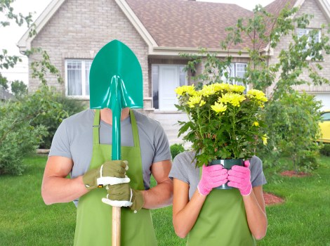 Detailed lawn edging service