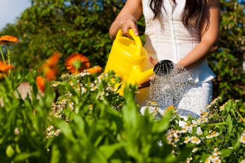 Eco-friendly lawn mowing practices