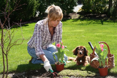 Incorporation of hardscaping elements like patios and water features
