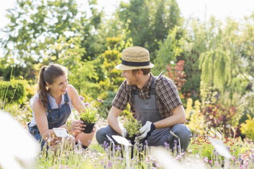 Eco-friendly garden practices in Pimlico
