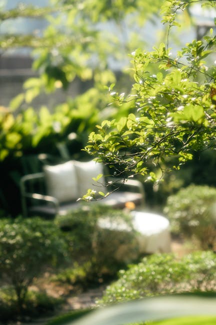 A lush garden featuring a variety of plants, shrubs, and trees providing a dense, vibrant green backdrop. In the foreground, large leafy plants with glossy, elongated leaves frame the scene, partially